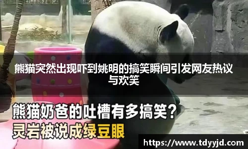 熊猫突然出现吓到姚明的搞笑瞬间引发网友热议与欢笑